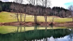 Jezero pri Jezerniku (Foto: Manca Korelc, Vir: mojajezera.si)